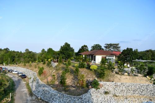 TR03_12072019_PINE_HILL_BN201808055000