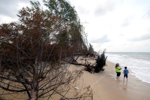 HAKISAN PANTAI PENGKALAN MARAS