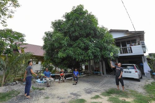 PERINTAH KAWALAN PERGERAKAN (PKP)