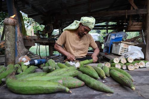 PELITA KEKABU