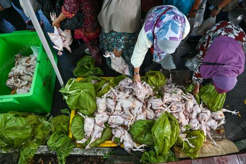 BARANGAN ASAS SIFAR CUKAI JUALAN