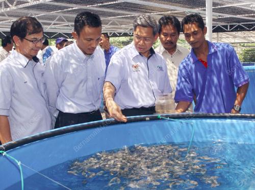 MUSTAPA MOHAMED
