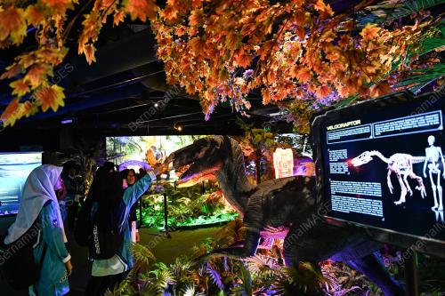 KARNIVAL MINGGU SAINS NEGARA 2025