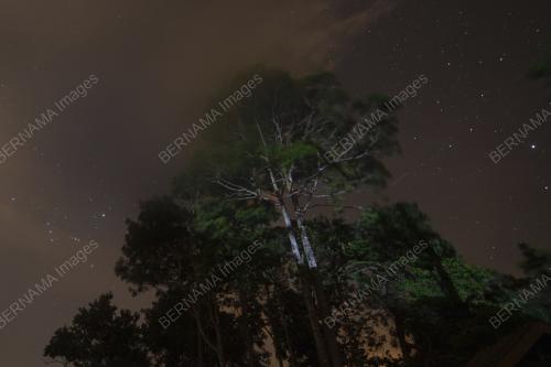 TR03_13082021_METEOR_PERSEIDS