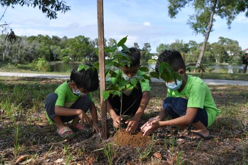 KEMPEN 100 JUTA POKOK