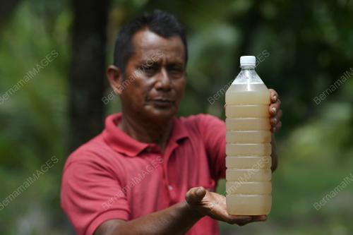 AIR NIRA KELAPA