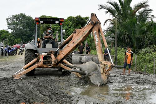 36 KERBAU 'MOWGLI MALAYSIA' MATI