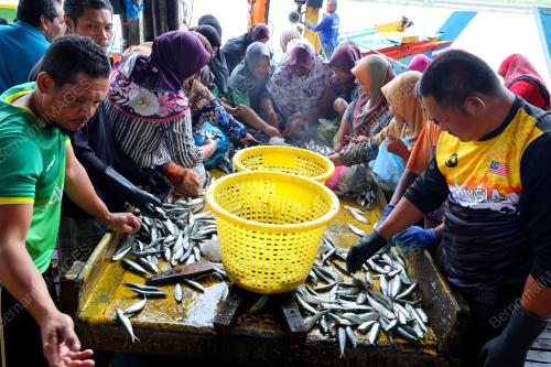 JETI NELAYAN KUALA KEMAMAN