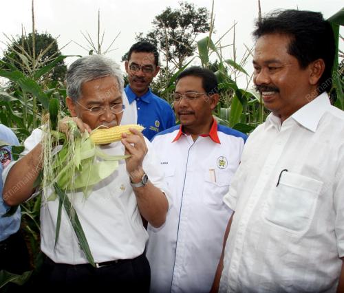 IDRIS JUSOH