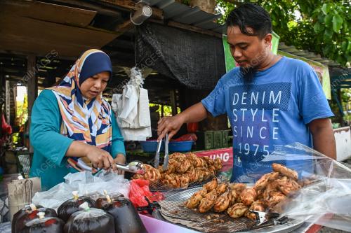 JEPUT UDANG STAMBUNG