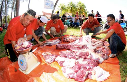 TR03_15102013_SEMBELIH_QURBAN