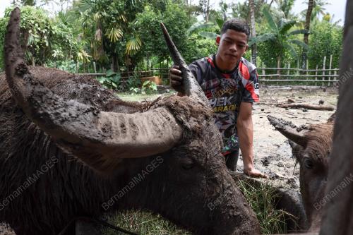 MUHAMMAD SYUKUR KHAMIS