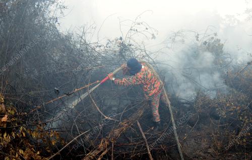 TR03_16022014_HUTAN_TERBAKAR