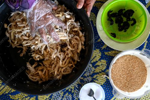 PEKASAM CENDAWAN TIRAM