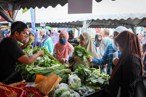 JUALAN AGRO MADANI @TERENGGANU