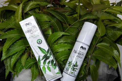 KHASIAT DAUN SEMAMBU SEBAGAI KOSMETIK