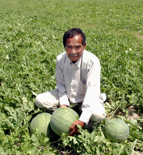 PERJANJIAN JUAL BELI TEMBIKAI