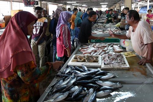 TR03_18102019_UMT_IKAN