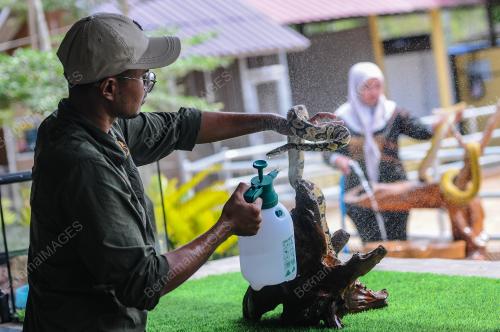 TINJAUAN CUACA PANAS