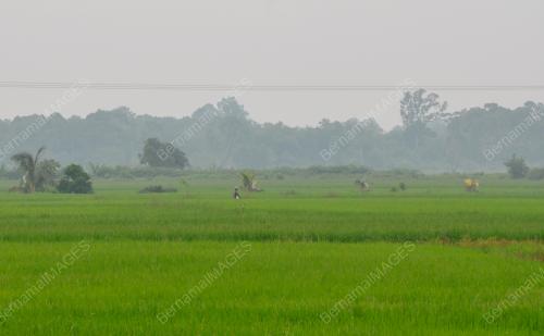 TR03_19092019_JEREBU