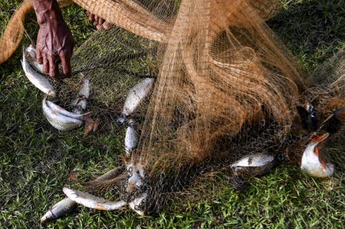 MENJALA IKAN
