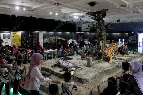 PAMERAN ALAM HAIWAN