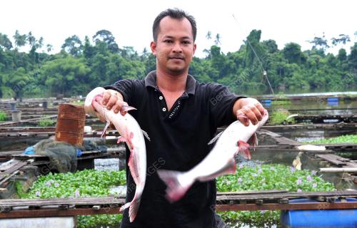 TR03_22082012_PENIAGA_IKAN