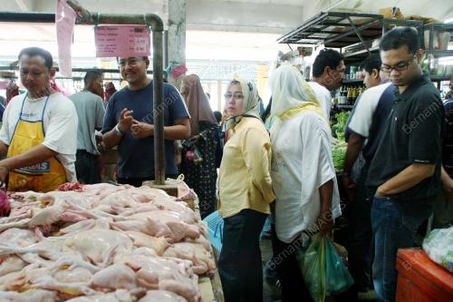 AYAM