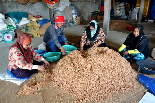 TR03_23042019_PERUSAHAAN_UDANG_BARING