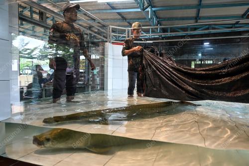 PERIKANAN NEGERI TERENGGANU