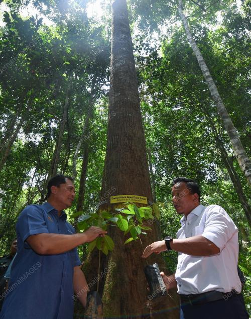 DATUK MOHD RIDZA AWANG