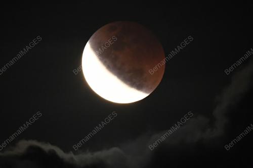 SUPER FLOWER BLOOD MOON