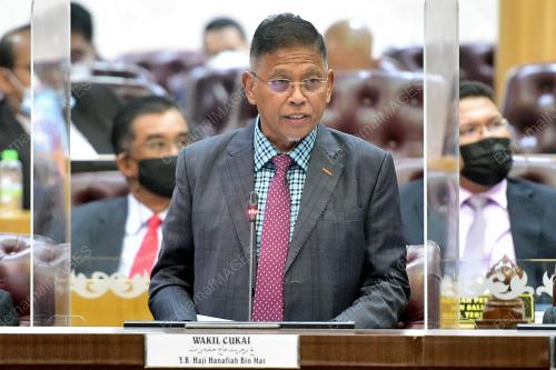 HANAFIAH MAT