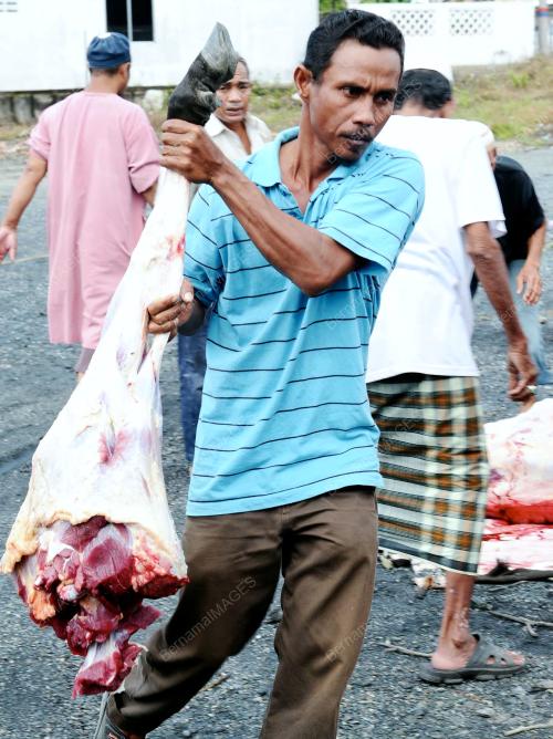 TR03_26102012_RAYA_QURBAN