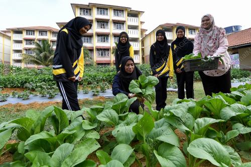 TR03_27062019_UNISZA_BN201808055000
