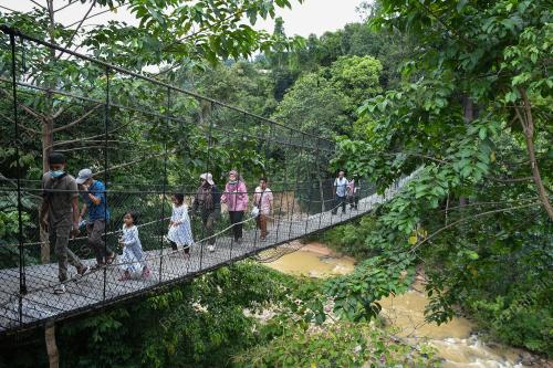 PERKAMPUNGAN KONSERVASI GAJAH KENYIR