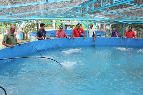 PROJEK TERNAK IKAN SEJATI MADANI