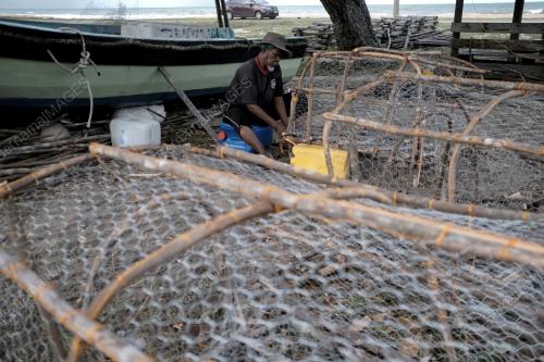 PEMBUAT BUBU IKAN KIJAL