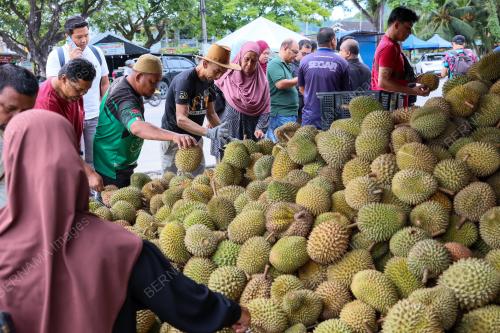 DURIAN FAMA
