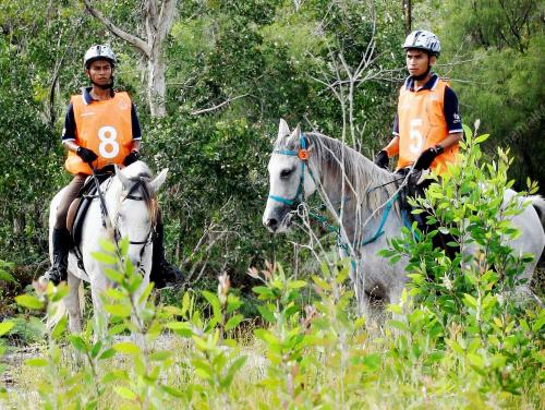 KEJOHANAN KUDA LASAK SEDUNIA (WEC) 2008