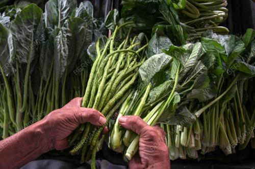 SKIM HARGA MAKSIMUM KELUARGA MALAYSIA