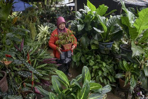 CUACA SEJUK