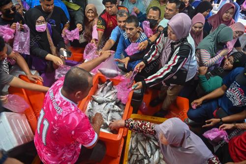 JUALAN MURAH IKAN SIAKAP