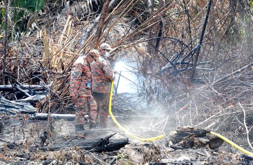 TR04_03032014_HUTAN_TERBAKAR