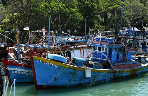 TR04_03052019_APMM_VIETNAM_BN201905028645-01
