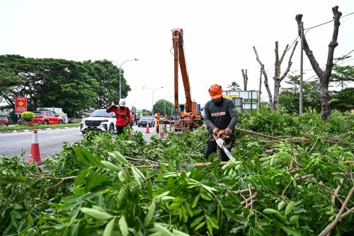 PEMANGKASAN POKOK SECARA BERKALA