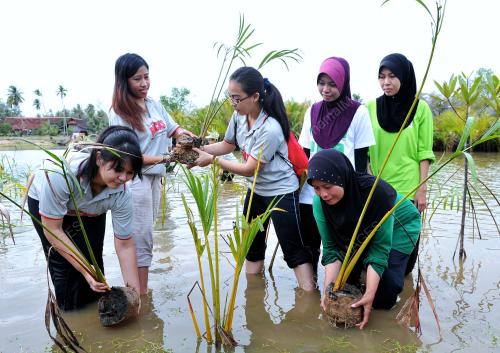 TR04_06072012_NESTLE_NIPAH