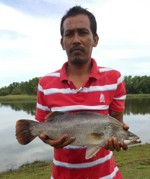 TR04_06112016_IKAN