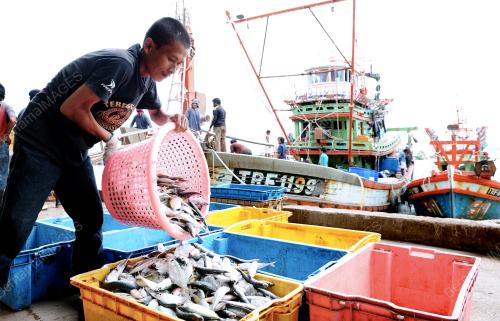 TR04_07012013_IKAN_NELAYAN