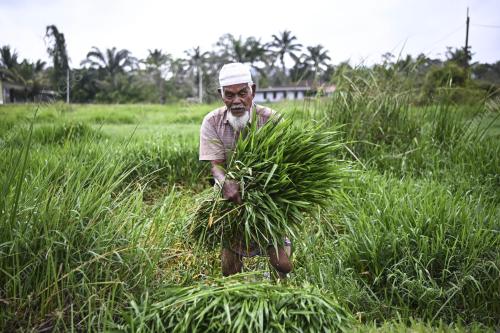 TRADISI LAMA MENCERUT RUMPUT